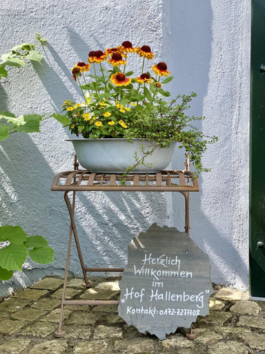 Public Area, Hof Hallenberg, Hochsauerlandkreis