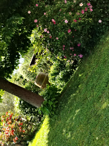 Others 5, Guest house Romana Vecchia, Latina