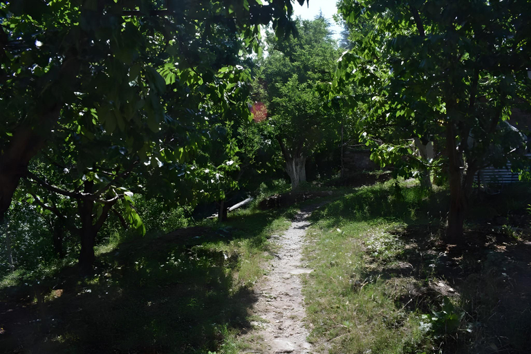Others 4, Pine Wood Homestay, Shimla