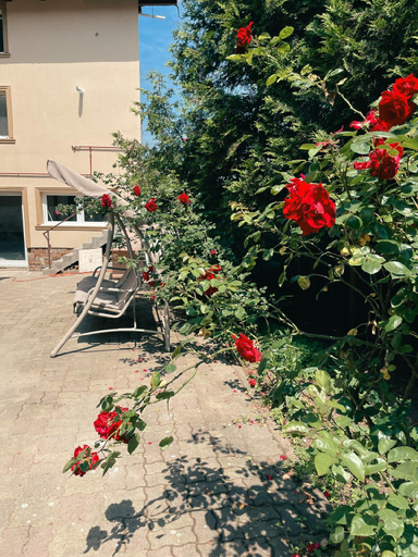 Others 4, Cozy Glen, Targu Mures