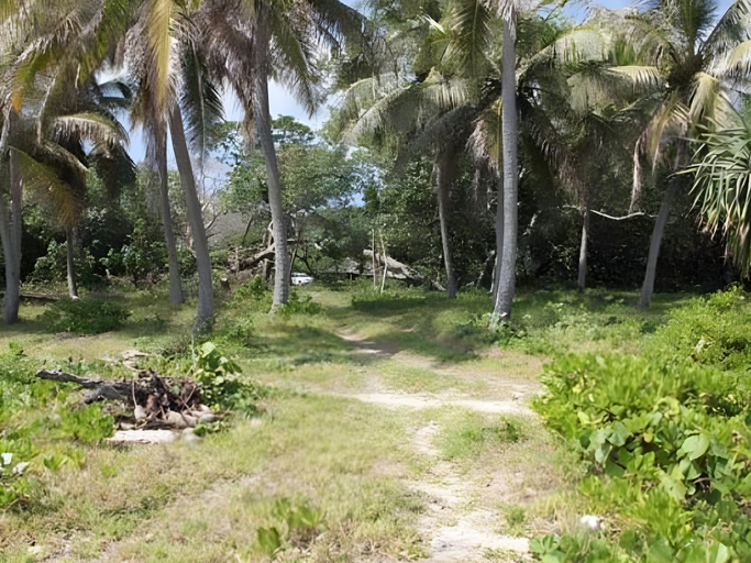 Others 4, Alofa Beach Bungalows, West Tanna