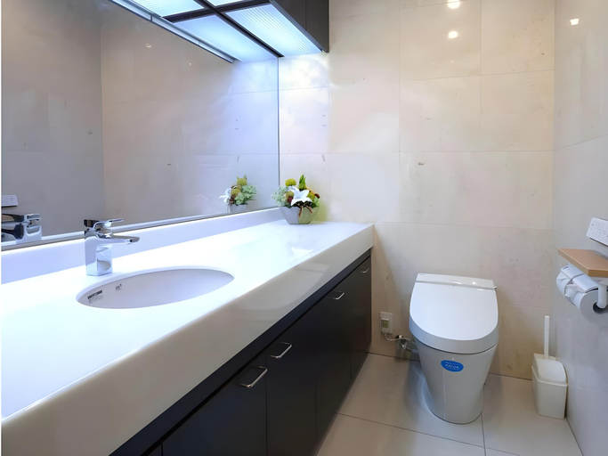Bathroom 3, Toyoko Inn Narita Airport Honkan, Narita