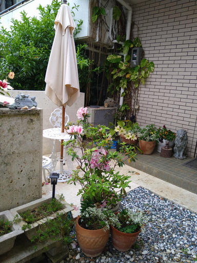 Others 4, Minshuku Zabaru, Ishigaki