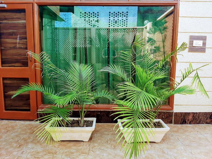 Interior view 3, Panchhi's Nest Villa, Amritsar