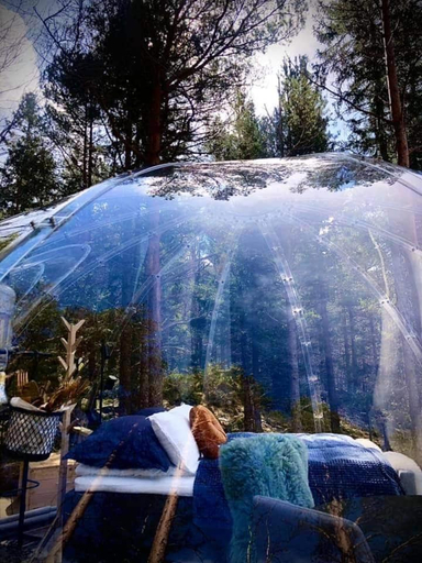 Others 3, Glassigloo med panoramautsikt - Nordlys og stjernehimmel - Fosen, Rissa