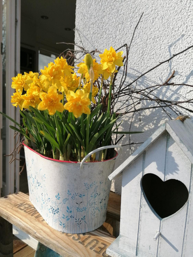 Others 4, Holbinger Alm - Apartments, Berchtesgadener Land