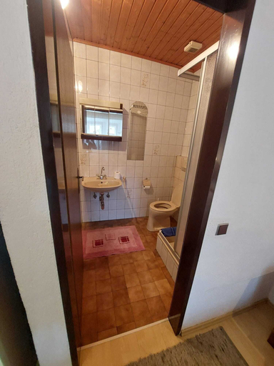 Bathroom 5, Gasthof zur Post, Leoben