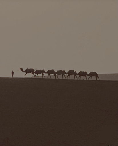 Others 5, Agafay Desert Hotel, Marrakech