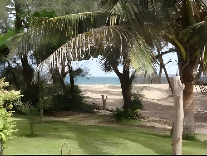 Others 3, Africa Roots, Tivaouane
