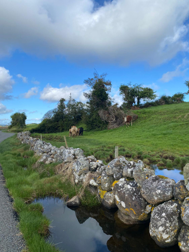 Others 5, Coastal Living Wild Atlantic Way - near Strandhill