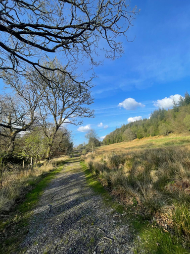 Others 4, The Steading at Barmore, Argyll and Bute