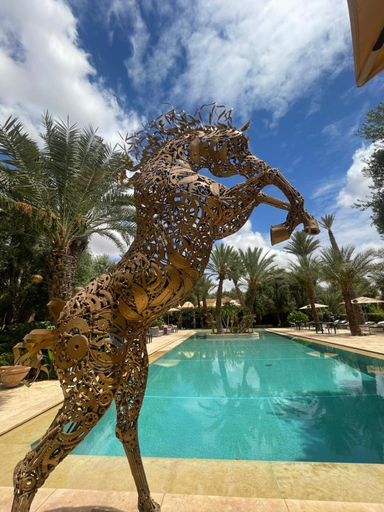 Sport & Beauty 5, Riad le Jasmin, Taroudannt