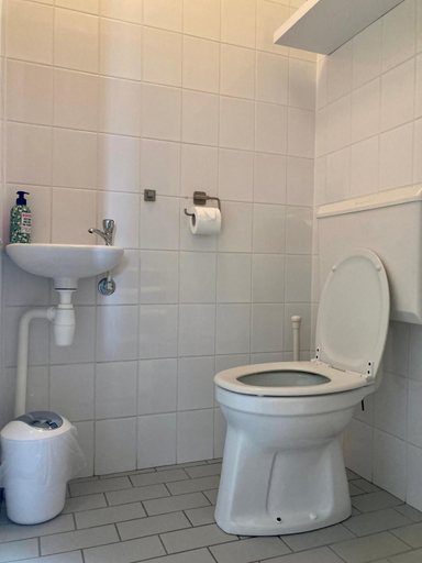 Bathroom 3, Nice 5 pers holiday home nice view close to the National Park Lauwersmeer, Dongeradeel