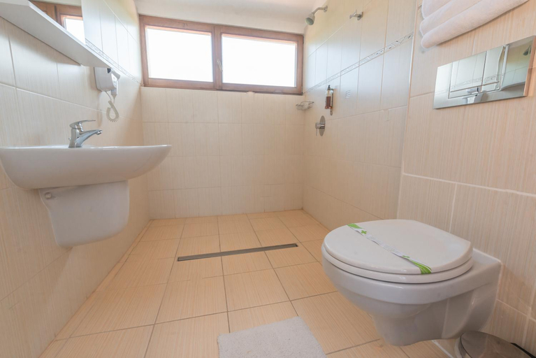Bathroom 2, Pensiunea Sonnenhof, Sighisoara