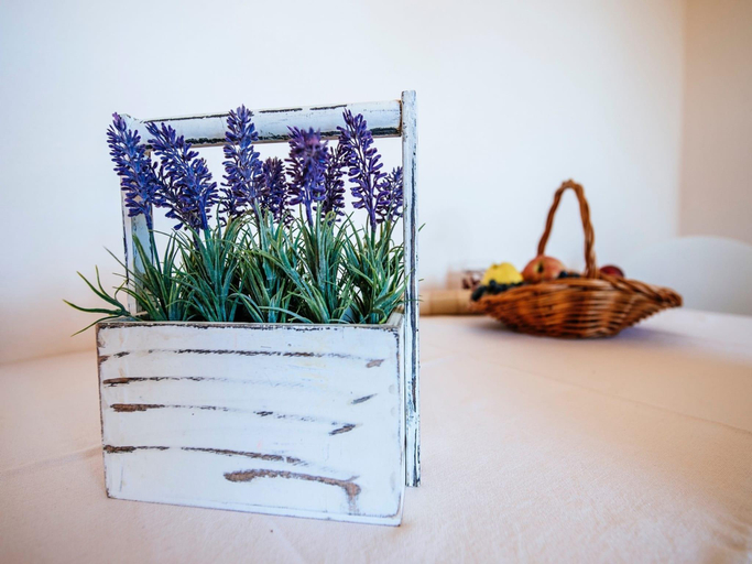 Food & Drinks, Apartment in Starigrad near Paklenica Park, Starigrad