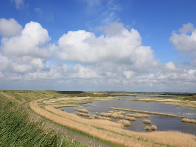 Others 3, Pet-Friendly Escape by the Sea, Veere