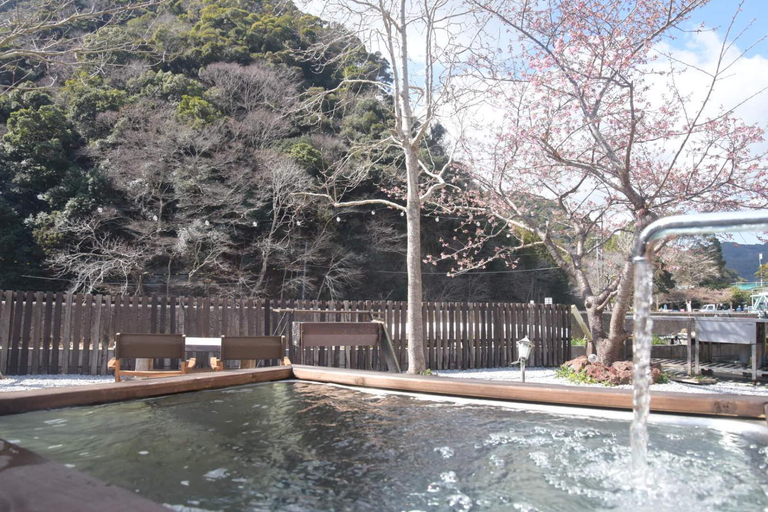 Sport & Beauty 4, 海好きな大人の隠れ家下田ハウス, Shimoda