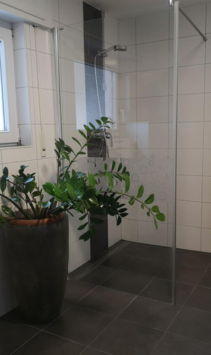 Others 4, Niederwald - Ferienwohnungen mit Fotografie-Angeboten, Baden-Baden