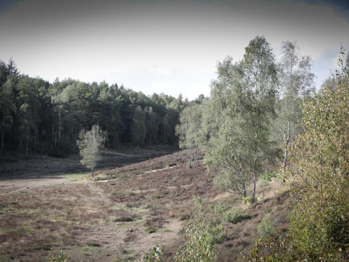 Others 5, Cottage in Veluwe near Forest Park, Barneveld