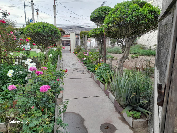 Others 4, Rose Garden, Quito