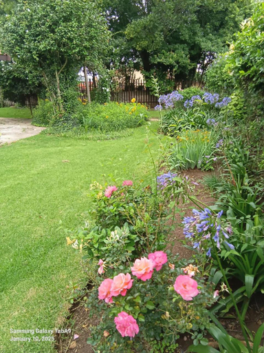 Others 3, Oteng Guest House, Nkangala