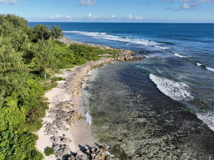 2, Surf 1 and Surf 2, Pango