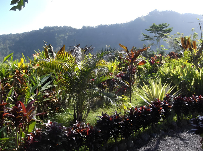 Others 5, The Bukit Artha Guesthouse, Karangasem
