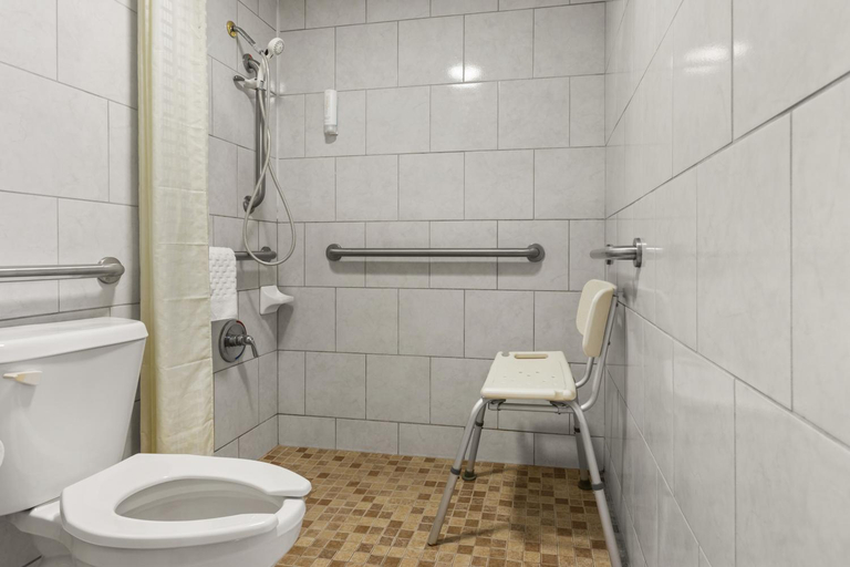 Bathroom 4, Econo Lodge Andalusia, Covington