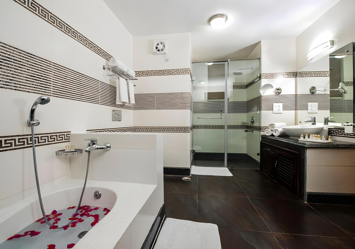 Bathroom 3, Singge Palace, Leh