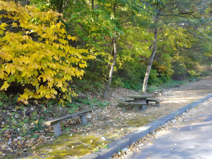 3, Jaecheon the green caravan and auto camping site, Jecheon