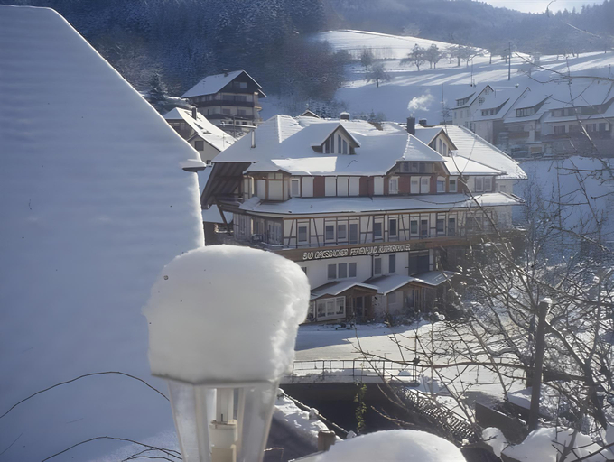 Exterior & Views 3, Ehrenmattlehof Faißt, Ortenaukreis