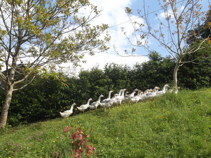 Others 4, Hostal Rural Onbordi, Navarra