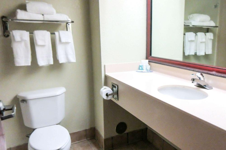 Bathroom, Quality Inn & Suites, Adams