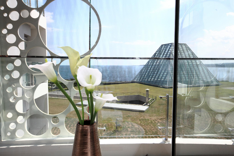 Others 4, Oceanstar Leisure Condo, Seogwipo