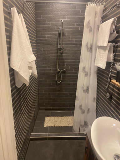 Bathroom, Trumpalaike Nuoma-Apgyvendinimas, Rokiškio