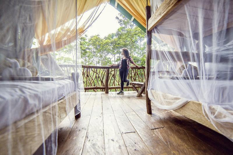 Bedroom 3, La Tigra Rainforest Lodge, San Ramón