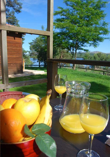 Food & Drinks 4, Camping Urbion, Soria