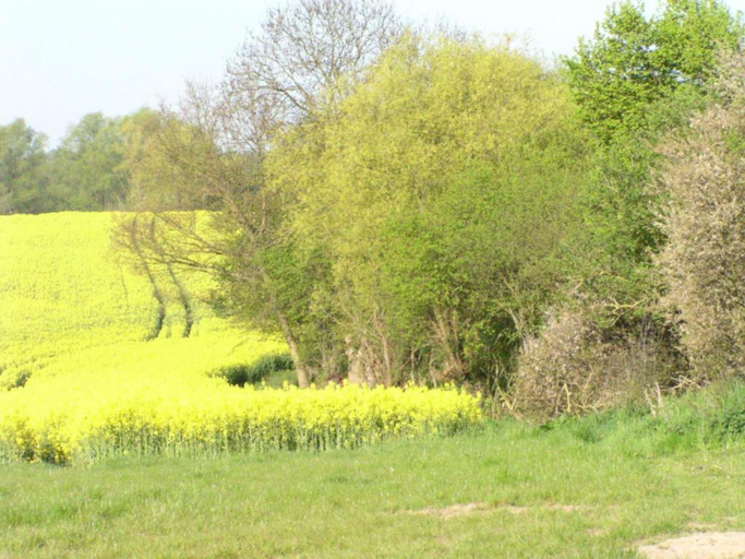 Others 4, Einladende Ferienwohnung in Gerdshagen mit Garten, Rostock