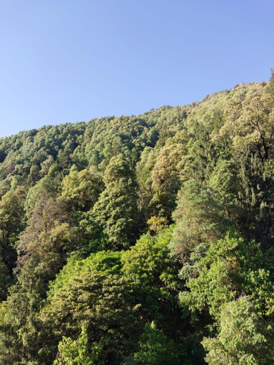 Others 5, PARADISE HILLS DALHOUSIE, Chamba