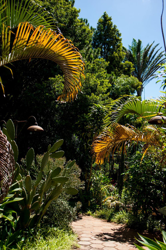 Others 3, Au Bois Vert - Hotel Ivato Airport, Analamanga