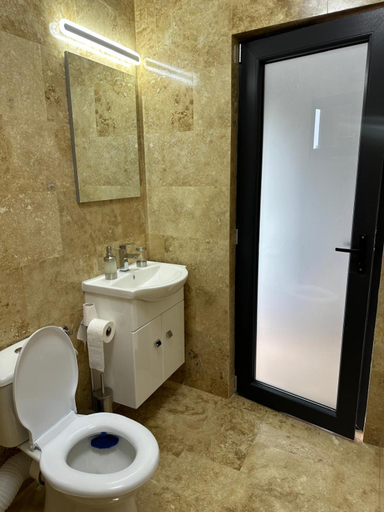Bathroom 2, Casa Gore, Costinesti