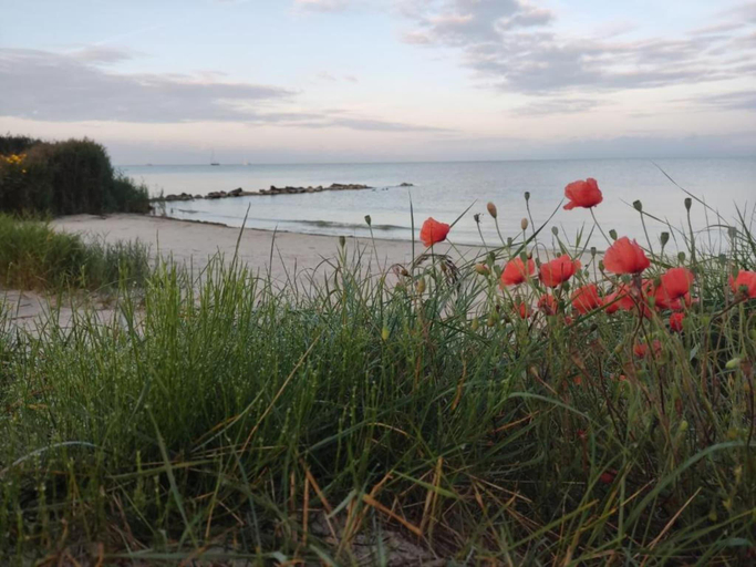 Others 2, Apartment in Heeg with Heegermeer Views, Wymbritseradiel