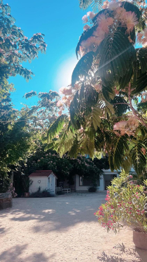 Others 5, Casa De Mare, Mangalia