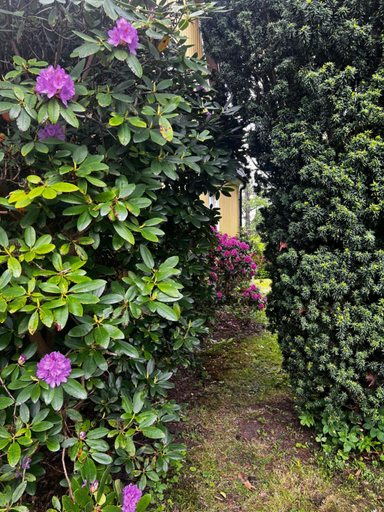 Others 5, Solhuset - Villa Sprakkul, Alingsås