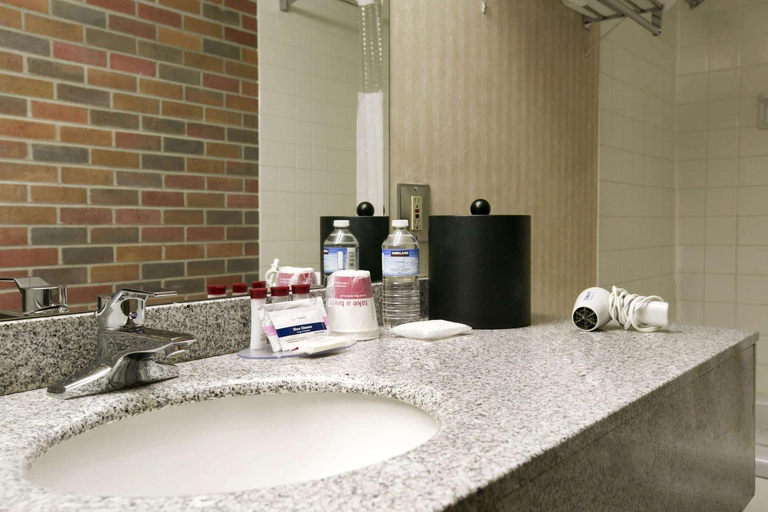 Bathroom 4, Ramada by Wyndham Lethbridge, Division No. 2