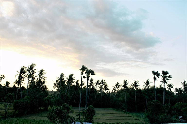 Others 4, Adore guesthouse, Karangasem
