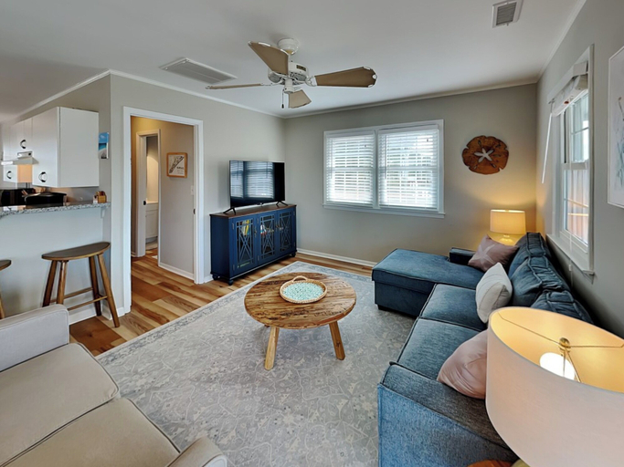 Others 5, The Sassy Sea Turtle by Topsail Realty, Pender