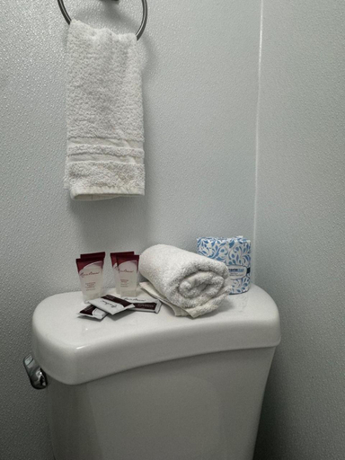 Bathroom 2, Sea Dell Motel - Marathon, Monroe