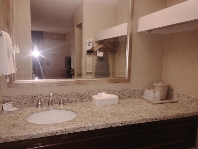 Bathroom 4, Quality Inn Deming, Luna