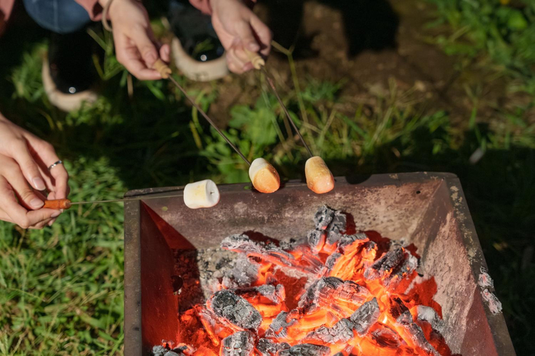 Food & Drinks 3, Mount Fuji Panorama Glamping, Fujikawaguchiko